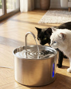 Fontanella per gatti Settevite in acciaio inox in salotto con due gatti